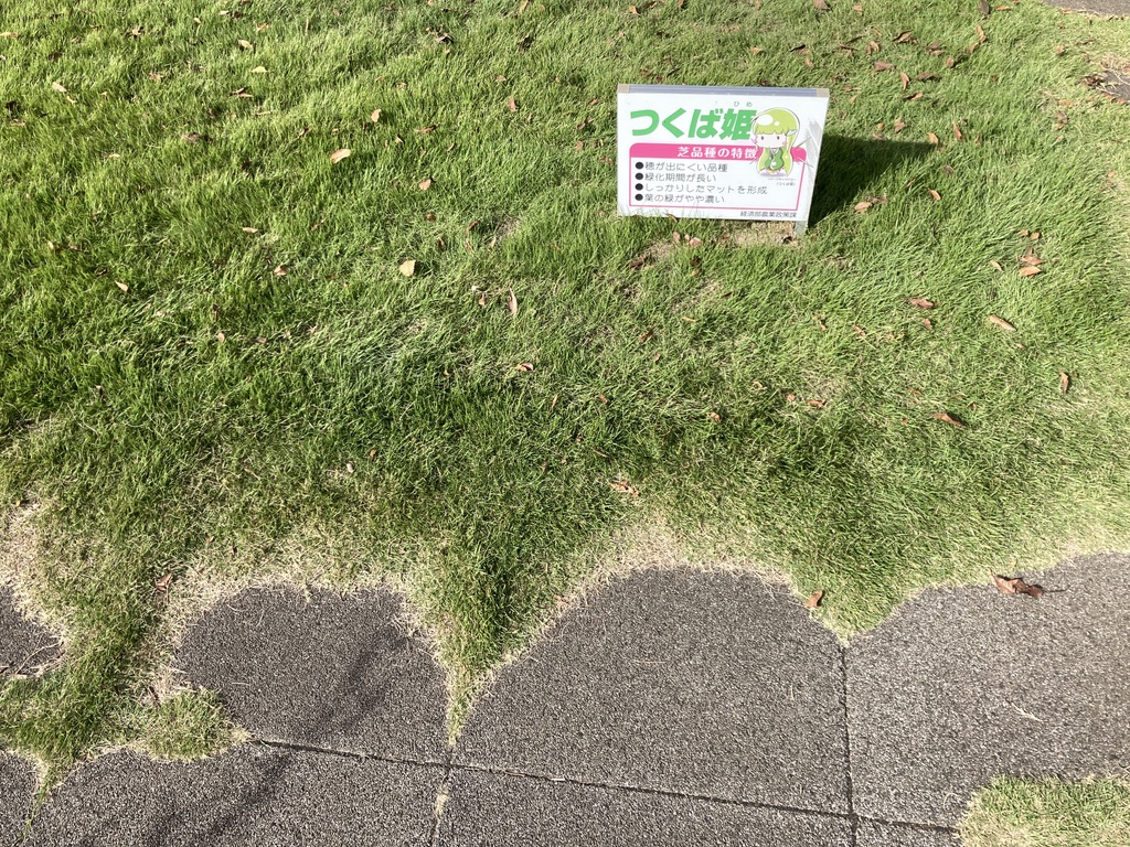 クイズ、どこで撮影されたものでしょう？